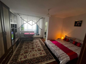 Steluta cozy studio